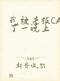 我被老板CAO了一晚上