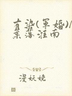 有染(军婚)/叶落淮南