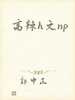高辣h文np