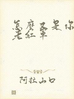 怎么又是你by老红军