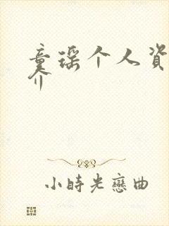 童瑶个人资料简介