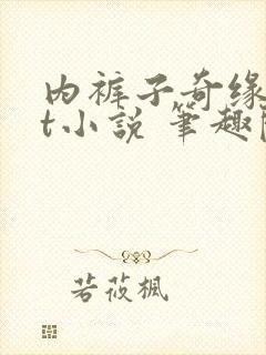 内裤子奇缘txt小说 笔趣阁