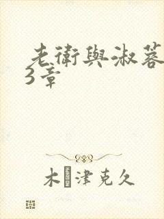 老卫与淑蓉第13章