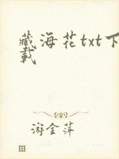 藏海花txt下载