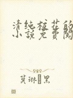 清纯校花的秘密小说免费阅读