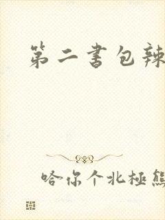 第二书包辣文