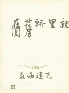 在花轿里就开始圆房