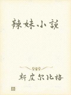 辣妹小说