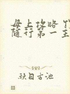 母上攻略 竹影随行第一主板