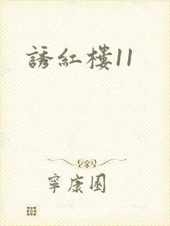 诱红楼11