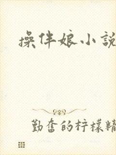 操伴娘小说