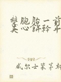 双胞胎一前一后夹心饼干年下