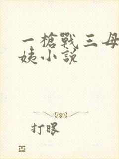 一枪战三母2雪姨小说