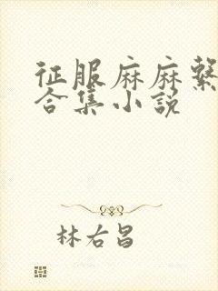 征服麻麻系列大合集小说