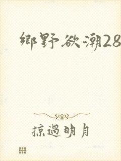 乡野欲潮28章
