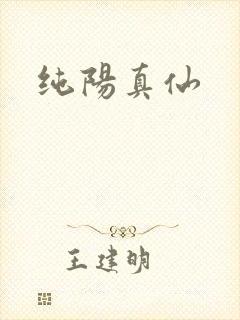 纯阳真仙