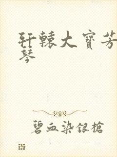 轩辕大宝芳菲雅琴