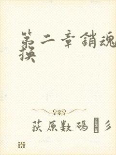 第二章销魂的交换