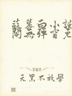 苏慕白小说笔趣阁无弹窗免费阅读