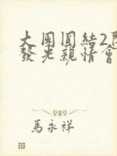 大团圆结2闪闪发光亲情会