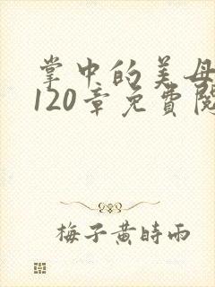 掌中的美母版主120章免费阅读