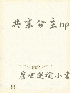 共享公主npc