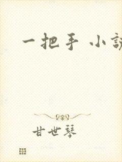 一把手 小说