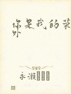 你是我的荣耀番外