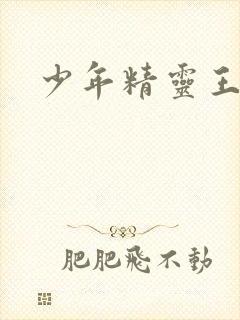 少年精灵王