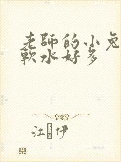 老师的小兔子好软水好多
