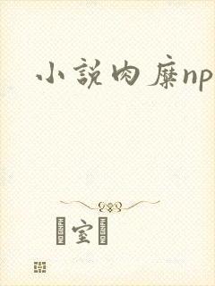 小说肉糜np