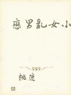 恋男乱女小说