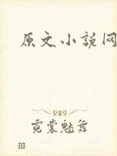 原文小说网