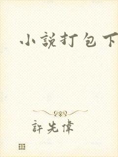 小说打包下载
