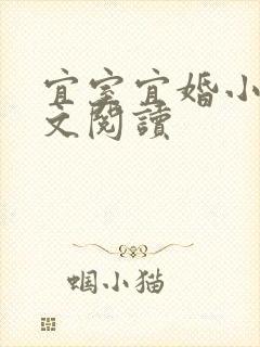 宜室宜婚小说全文阅读