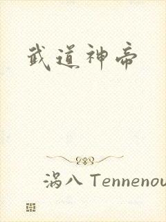 武道神帝