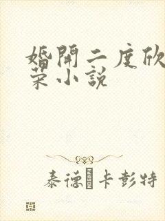 婚开二度欣欣向荣小说