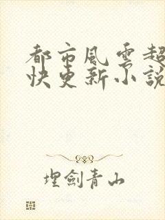 都市风云超前超快更新小说