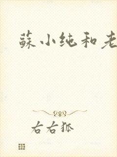 苏小纯和老苏