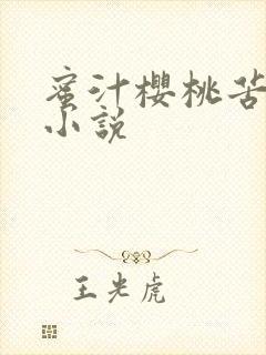 蜜汁樱桃苦咖啡小说