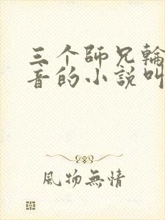 三个师兄轮流上音的小说叫什么