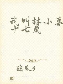 我叫林小喜今年十七岁