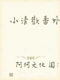 小清欢番外