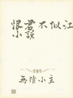 恨君不似江楼月小说