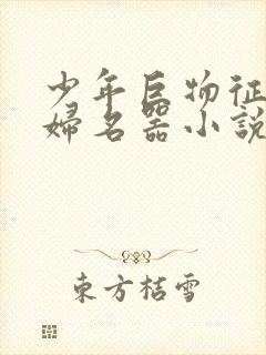 少年巨物征服美妇名器小说