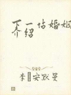 下一站婚姻剧情介绍