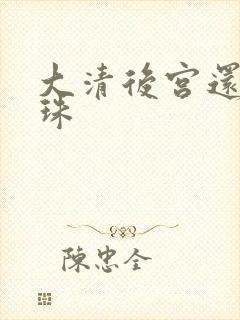 大清后宫还君明珠