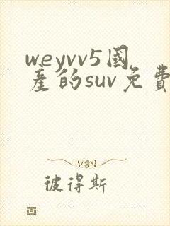 weyvv5国产的suv免费