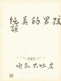 纯真的男孩子小说