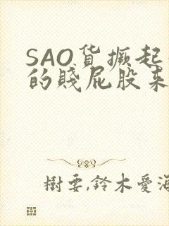 SAO货撅起你的贱屁股来